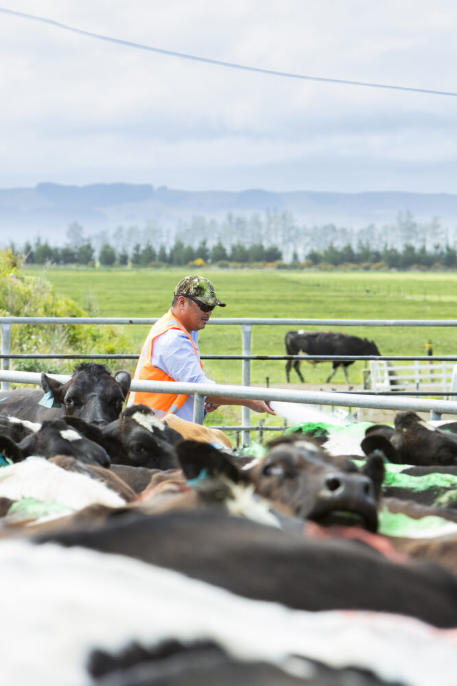 Dairy-Holdings-144dpi.jpg