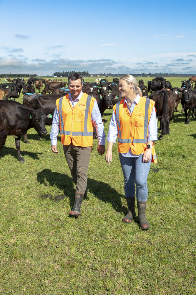 Dairy-Holdings-21.144dpi.jpg