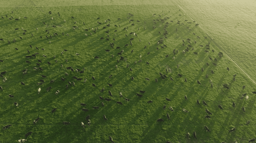 Screen_Shot_2025-02-18_at_11.18.12_AM_1_optimized_2000.png